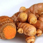 8 Turmeric Roots for Planting, Fresh Curcuma Turmeric Rhizomes, Heirloom Herb Roots for Home Garden