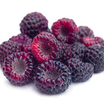3 Raspberry Plants Live, Sweet Raspberry Bush Live Plants, Well-Rooted 5-8 Inch Height, Raspberry Shrub Outdoor, No Pot (Glencoe Raspberry)