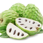 Cherimoya Sugar Apple Tree Live Plant, 2-3 Ft in One Gallon Pot, 2 Years Old Tree Annona Squamosa Soursop Like, Outdoor Spring Tropical Fruit Planting, No CA