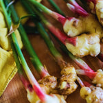 Live Ginger Plants, 2 Ginger Plants Live, 4 to 6 Inches Tall,Ginger Live Plants, Ginger Well Rooted, Ginger Starter Plants for Growing Outdoors Indoors