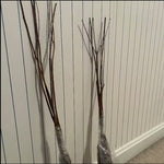6"-1' Kousa Dogwood Trees Live Plant, 1 Year Old White Kousa Flowering Dogwood Trees Shrubs for Planting Outdoors