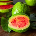 Guava Tree