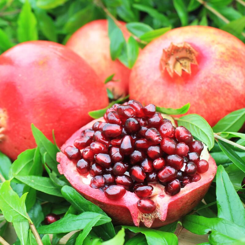 Pomegranate Tree Live Plant - Pomegranate  - 1- 2 Year Old - Plant