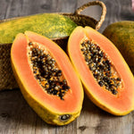 Papaya Plant Live in 4'' Pot, Sweet Edible Tree, Suitable for Gardens, Patios, and Outdoor Planting, Cold Hardy, Ready to Grow, 5-10 Inch Tall