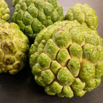 Custard Sugar Apple Tree Live Plant, 2-3 Ft in One Gallon Pot, 2 Years Old Tree Annona Squamosa Soursop Like, Outdoor Spring Tropical Fruit Planting, No CA