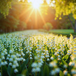 5 Lilies of The Valley Bulbs Rhizomes, Lily of The Valley Bulbs for Planting, Perennial Flower Bulbs Garden