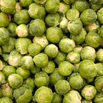 2 Pots Brussel Sprouts Plants, 4 Inch Pot Vegetable Plants Live for Planting, Cold Hardy, Easy to Grow for Containers and Garden Beds