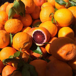 Blood Orange Live Plant in 1 Gallon Pot, Red Orange Tree for Planting Outdoor Garden, Citrus Fruit Tree 24-30 Inch Tall