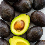 HASS Avocado Plant Live 8-16 Inches Tall, Half Gallon Pot, Well-Rooted Avocado Tree Starter for Home Garden and Containers