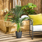 Palm Tree Live Plant Indoor Outdoor, Rare Succulent Palm Houseplant for Indoor or Outdoor Growing, 1 Gallon Pot, Green Leaves Yellow Flowers