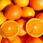 High-Yielding Orange Tree Live Plant 1.5-2 Ft Tall in 1 Gallon Pot, Citrus Fruit Tree for Patio Containers, Backyard and Indoor Growing
