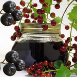 Black Chokeberry Tree Live Plant Seedling for Outdoor Planting, No CA, Edible Aronia Berry Shrub, Cold Hardy, 7-14 Inches in Tall