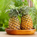 Set of 2 Elite Gold Pineapple Live Plants, 4-6" Tropical Pineapple Plants for Indoor Outdoor Growing, Patio Container Garden, No Pot, Fast-Growing
