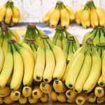 Live Dwarf Cavendish Banana Plant, Tropical Fruit Tree