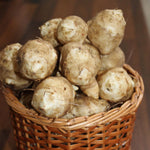 1/2 Lb Jerusalem Artichoke Tubers for Planting, Artichoke Bulbs Sunchoke Sunroots