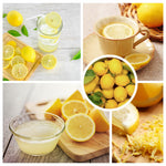 Live Meyer Lemon Tree Plant, Lemon Citrus Fruit Tree, 2-4 Inches Tall in 4 Inch Pot, Ready for Planting