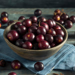 Black Muscadine Grape Plant Live, 6-12 Inch Tall, in 4" Pot, Well Rooted Vines for Outdoor Planting
