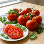 Set 2 Tomato Plants, Beefsteak Tomato Plants Live, 4-6 Inc Tall, Large Red Tomatoes for Indooor Outdoor Planting