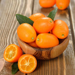 Meiwa Kumquat Tree Live Plant for Planting, Sweet Kumquat Fruit Tree 1 Gallon Pot, Citrus Fruit Plant, Suitable Patio and Garden