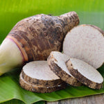 Vietnamese Taro Plant, 3-6" Tall, Taro Plant in Pot, Edible Tropical Plant for Garden Growing