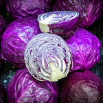 Red Cabbage Plants Live for Planting, 4 Inch Pot, Vegetable Cabbage Plants, Easy Care Plant for Outdoor Home Garden