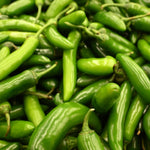 Set 2 Pepper Plants Live for Planting, Pepper Plant, 4-6 Inc Tall, Live Vegetable Plants for Indoor Outdoor Growing (Hot Green Peppers)