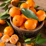 Mandarin Orange Tree, Sweet Seedless Mandarin Plants Live, 1.5 Years Old Tree, Fragrant Citrus Trees for Patio and Outdoor Garden