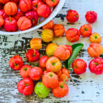 Red Star Surinam Cherry Tree Live Plant, 2-3 Feet in 1 Gallon Pot, Fast-Growing and Ready to Bear Fruit, High-yieding Outdoor Spring Planting, No CA