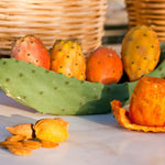 Green Prickly Pear Cactus Plant Live, 4 Inch Potted, Prickly Pear Cactus Plant, Hardy Succulent Cactus for Indoor or Outdoor Decoration