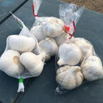 1 Pound Garlic for Planting in Spring Softnec Hardneck, 5-6 Music Garlic Bulbs for Planting, Fresh and High Yield Bulb Variety Pack, Hardy and Fast Growing