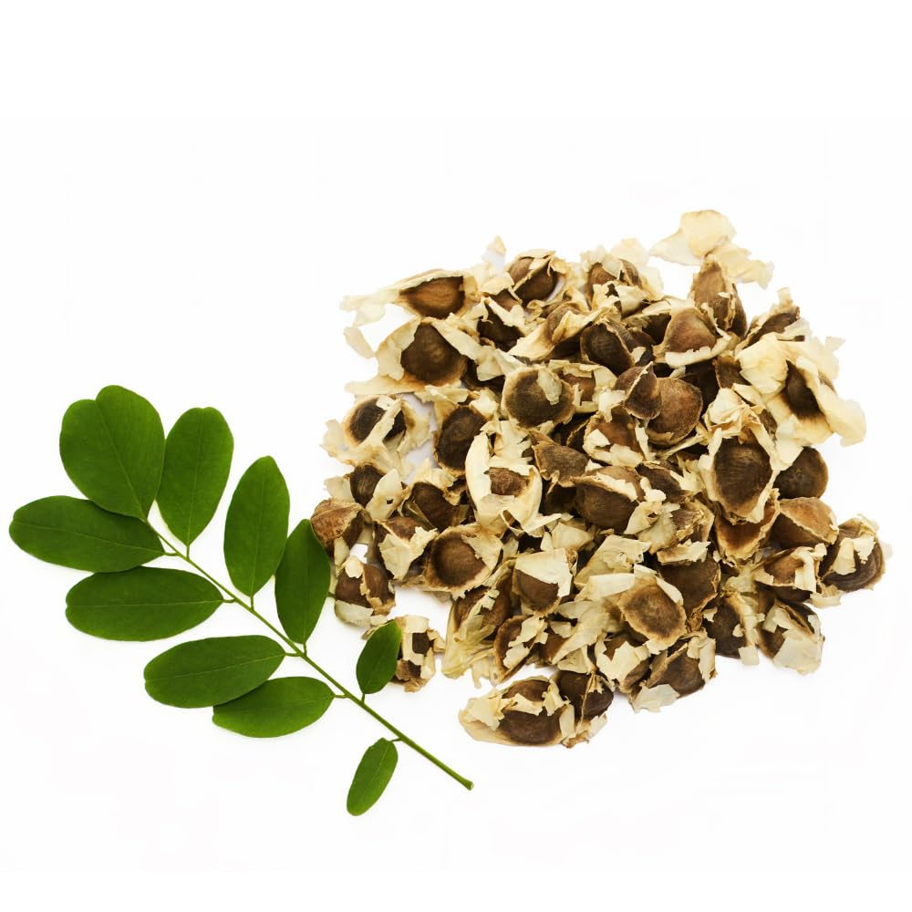 50 Moringa Seeds, Moringa Oleifera Tree Seeds for Planting - Fast Growing Drumstick Tree for Garden, Pots, and Outdoor Growing