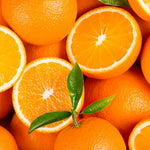 Orange Live Plant in 1 Gallon Pot, 1-2 Ft Tall Live Sweet Orange Citrus Fruit Tree Plant for Patio, Container or Outdoor Growing