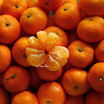 Sweet Seedless Mandarin Tree Live Plant Grafted 2-3 Feet, Fast-Growing and Bear Fruit for Citrus Garden Outdoor Planting Zones 9-11