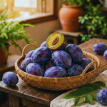 Purple Plum Tree Plant Live, Home Orchard Tree, 3-4 Ft Tall