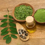 Live Moringa Tree Plant, Moringa Oleifera Plants, 6-10 Inch Tall in 4 Inch Pot, 2 Plants Per Pot for Planting