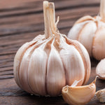 1 Pound Hard Neck Garlic for Planting in Fall, White Garlic Bulb for Planting, Fresh and High Yield, Cold Hardy, Planting Softneck Hardneck