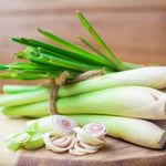 Set 800 Lemongrass Seeds for Indoor or Outdoor Growing, Fragrant Culinary Garden Seeds for Planting
