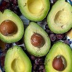 Live High-Yielding Avocado Tree Plant in 3 Gallon Pot, Cold Hardy Avocado Tree 2-3 Ft Tall, Ready to Bear Fruits