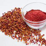 2 Smooth Sumac Trees Live Plants Bare Roots, Dormant 1-2 Feet Tall, Hardy Shrub Fragrant Ground Cover for Landscaping