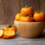 Persimmon Tree Seedling, Fruit Tree, 1-2 Ft Tall