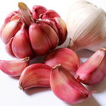 1 Pound Hard Neck Garlic for Planting in Fall, Red Garlic Bulb for Planting, Fresh and High Yield, Cold Hardy, Planting Softneck Hardneck