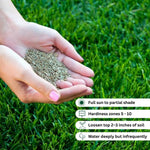 5000 Emerald Zoysia Grass Seeds, Zoysia Grass Seeds for Lawn, Dense Green Grass for Backyard and Patio