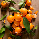 Live Seedless Mandarin Orange Tree, 1 to 2 Feet Tall, Sweet Citrus Tree for Container or Backyard Garden Growing