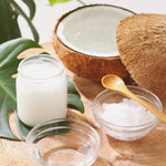 Dwarf Coconut Tree Live Plants, Well Rooted from 2 to 3 Feet Tall, Green and Yellow Coconut Plant, Tropical Fruit for Indoor Outdoor Planting