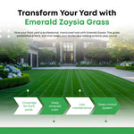 Set 20000 Emerald Zoysia Grass Seeds, Zoysia Grass Seeds for Lawn, Dense Green Grasses for Front Yard, Backyards, Ground Cover and Landscape