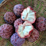 Red Sugar Apple Plant Live in Half Gallon Pot, Sweet Sugar Apple Plant Well Rooted 6-10'' Tall, Annona Squamosa for Planting