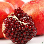 Pomegranate Tree Live Plant, Cold Hardy Pomegranate Plant Live, All Year Planted, 5 to 7 Inches Tall, 4 Inc Potted
