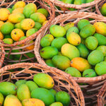 Sweet Mango Tree 8-12 Inches, Hardy, Fruit-Bearing Mango Tree in Gallon Pot, Well Rooted, Garden and Container Growing