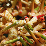 Live Ginger Plants, 2 Ginger Plants Live, 4 to 6 Inches Tall,Ginger Live Plants, Ginger Well Rooted, Ginger Starter Plants for Growing Outdoors Indoors