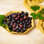 Grape Plant Live for Planting, Muscadine Grape Vines Live Plant for Gardening Outdoor, 5 to 7 Inc in Height